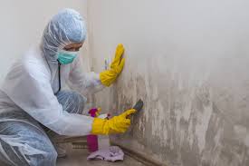 Best Forensic Mold Investigation  in Old Jamestown, MO